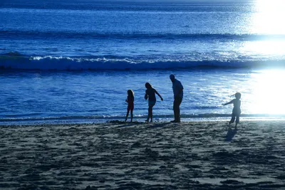 DSC_1202 (Large).JPG